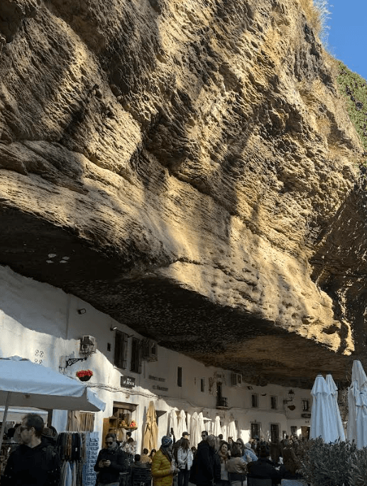 Sustainable Design Trends Shaping 2024