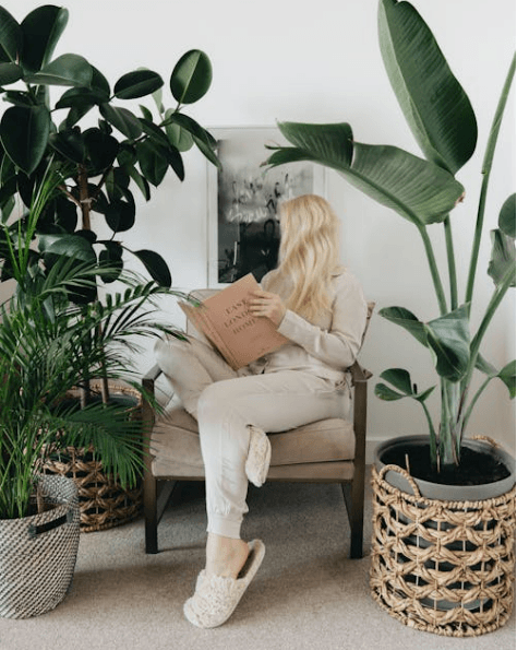 The Complete Guide to Eco-Friendly Home Design